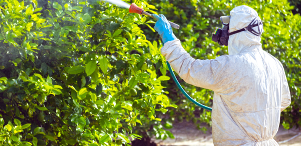 CURSO FITOSANITARIOS (1)