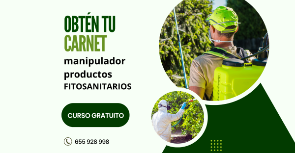 Green Modern Gardening Services Instagram Post (1080 × 2080 px) (2080 × 1080 px) (1)