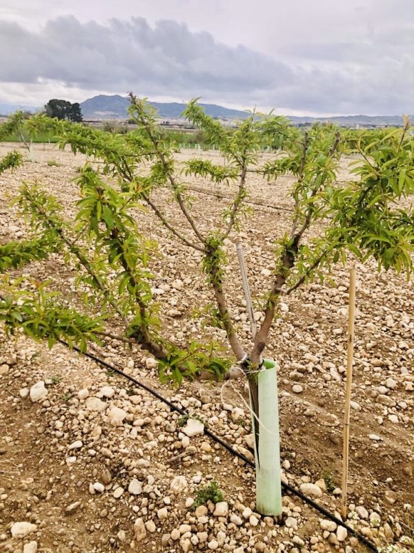 3b95b2ce-a09d-4788-a7ea-17da65ab0fb1